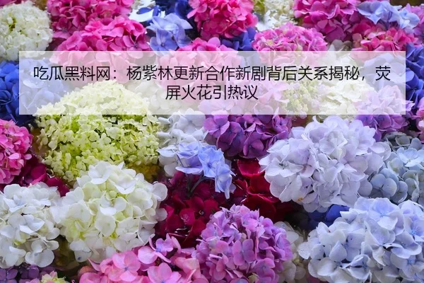 吃瓜黑料网：杨紫林更新合作新剧背后关系揭秘，荧屏火花引热议